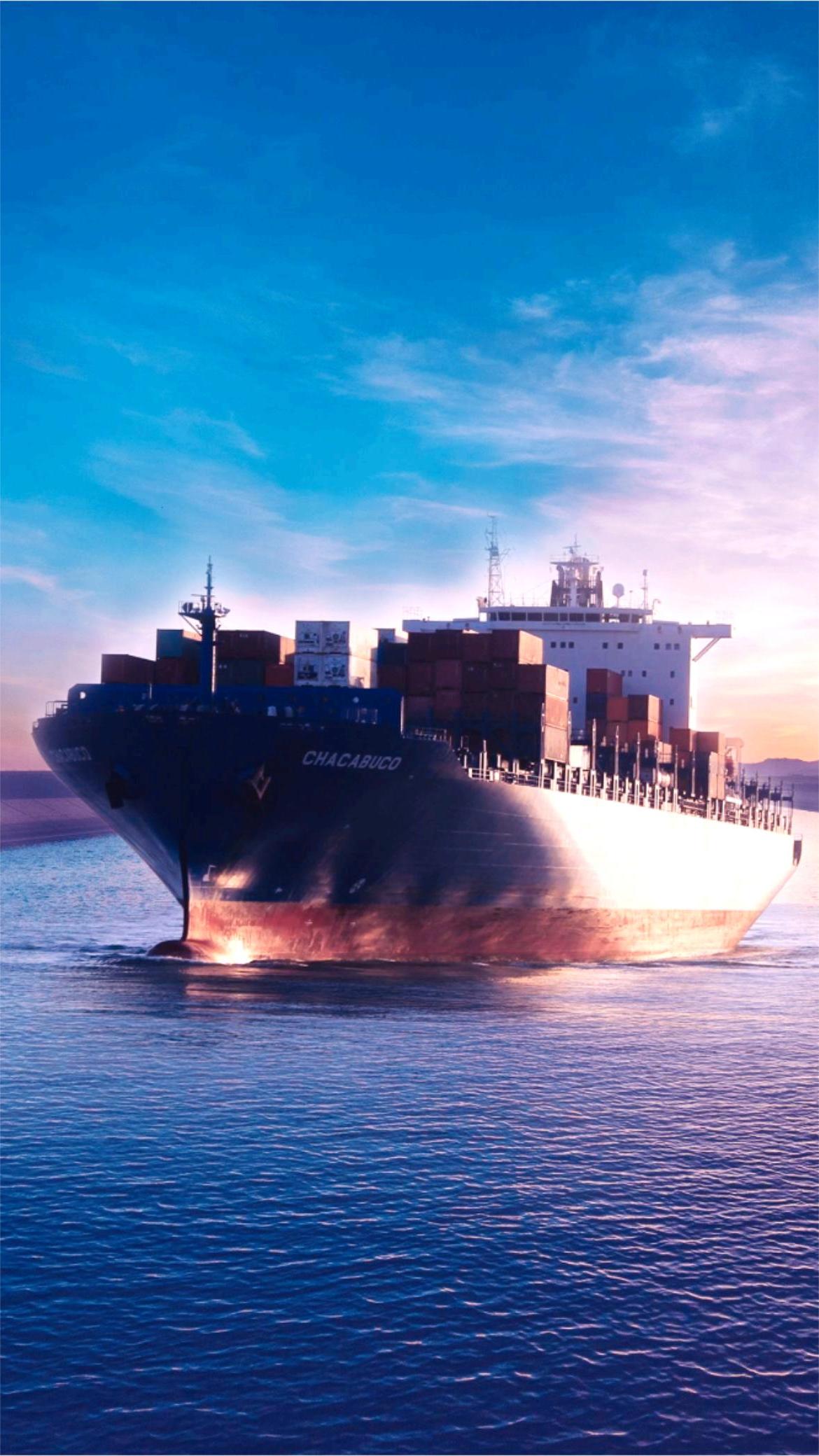 Comparison of different shipping container sizes for FCL transport